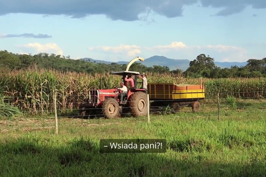 Rolnik Ciężkich Obyczajów